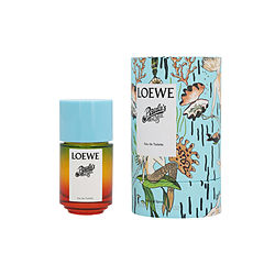 Loewe Paula's Ibiza