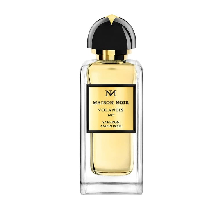 Maison noir Volantis 685