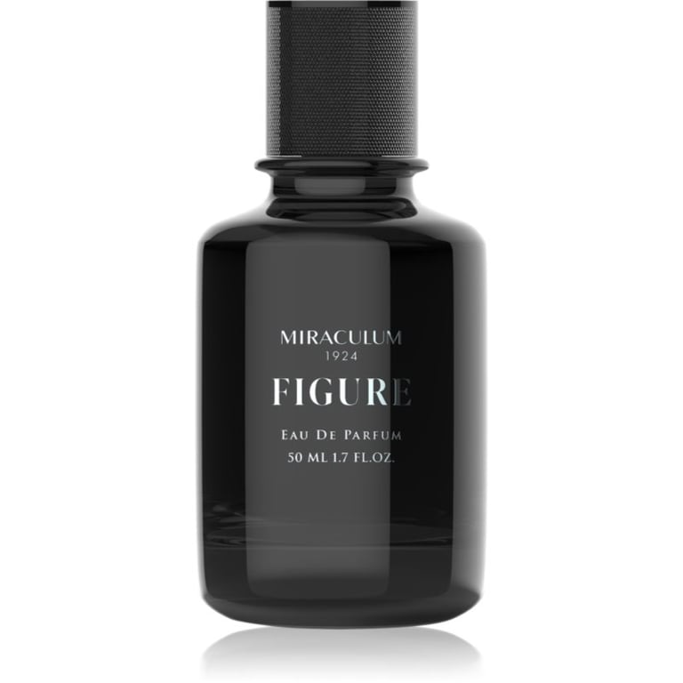 Miraculum Noir Majesty Figure