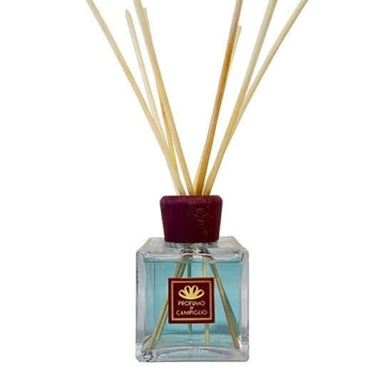 Profumo di campiglio Incantesimo Raumdiffusor