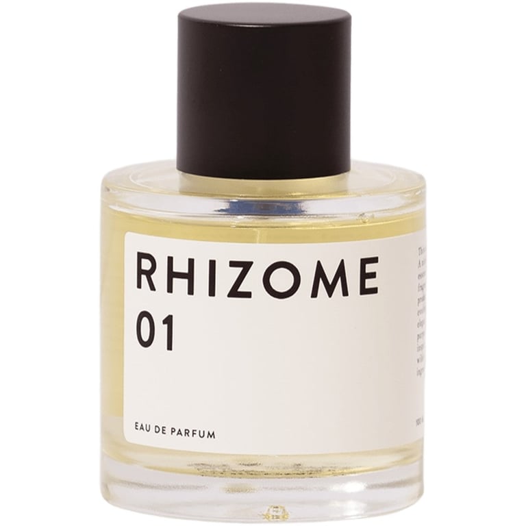 Rhizome 01