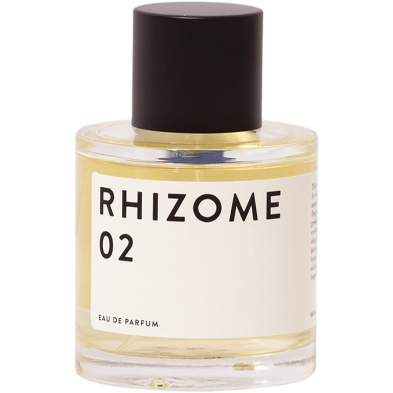 Rhizome 02 Eau