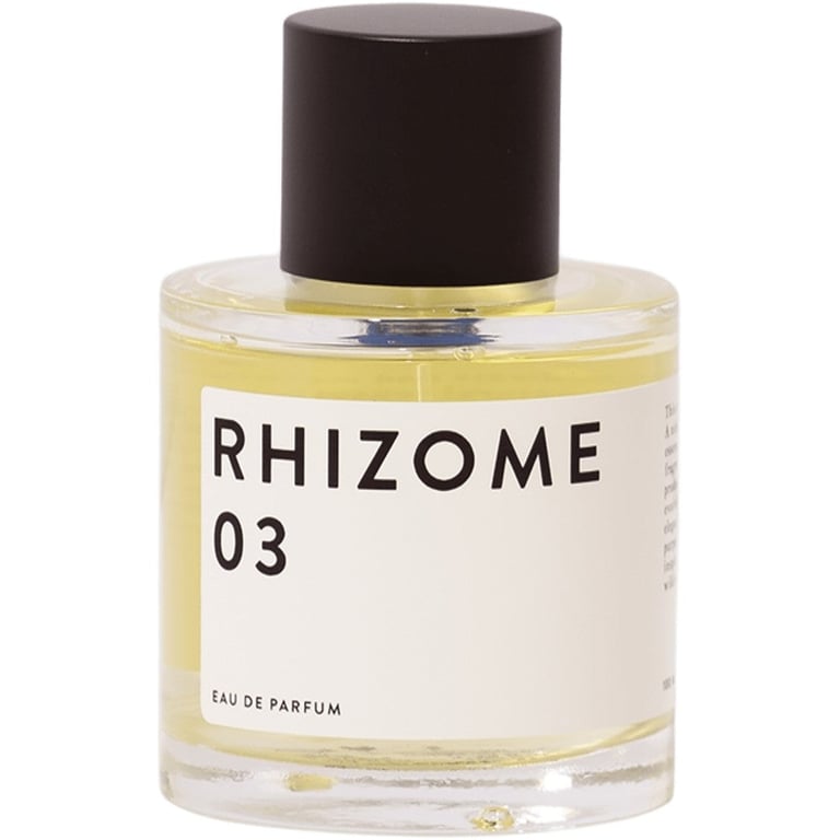 Rhizome 03