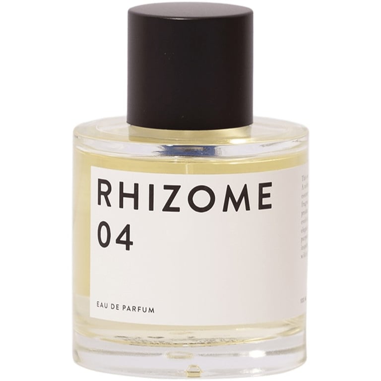 Rhizome 04
