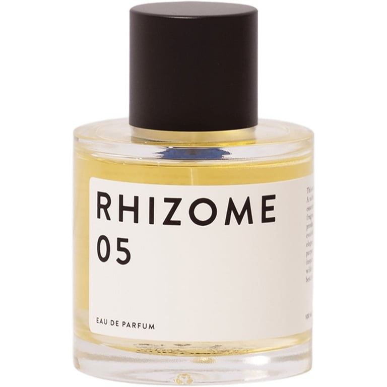 Rhizome 05