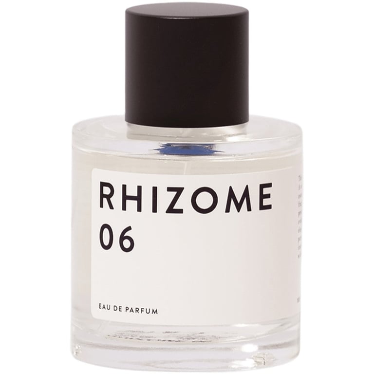 Rhizome 06