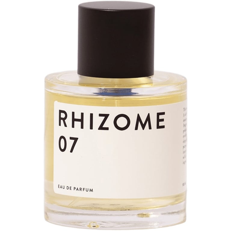 Rhizome 07