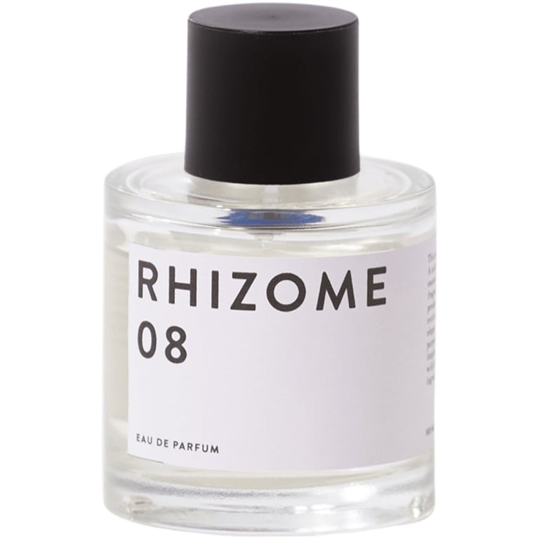 Rhizome 08