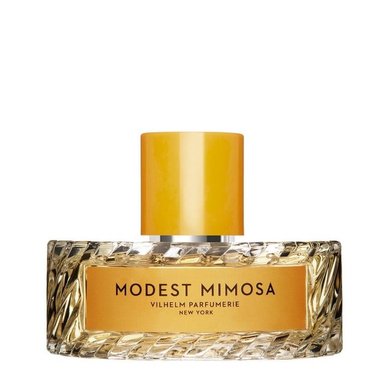 Vilhelm Modest Mimosa