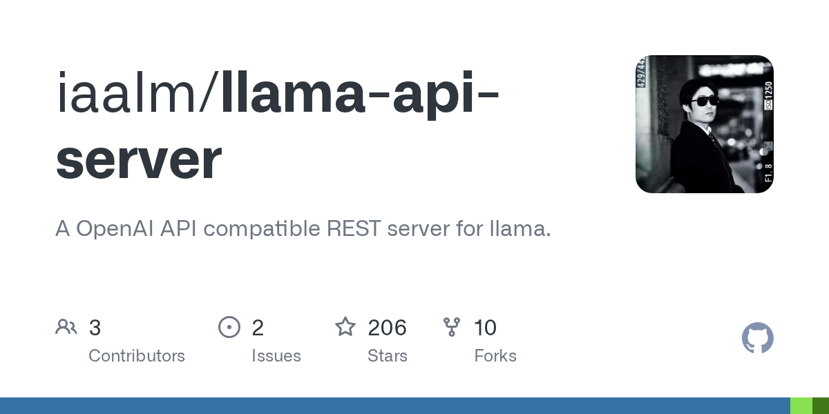 Llama Api Server