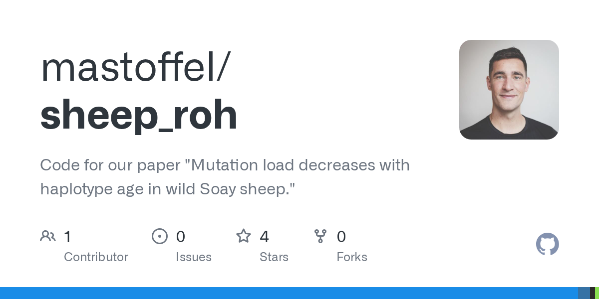 Sheep Roh