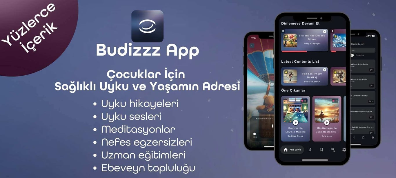 budizzz app tanıtım