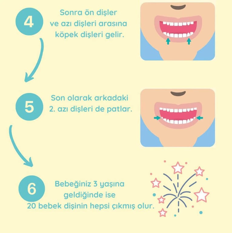 bebek diş çıkarma sırası
