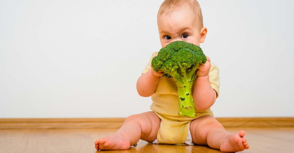 10 aylık beslenme listesi