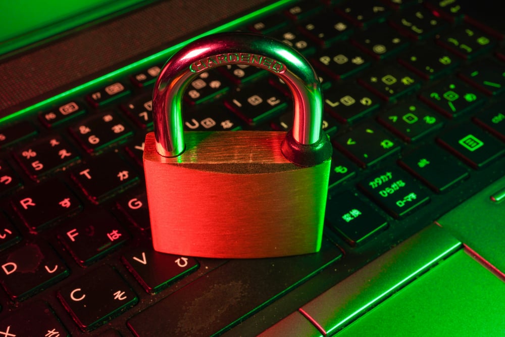 The Role of National Cyber Security Initiatives | Bellcom