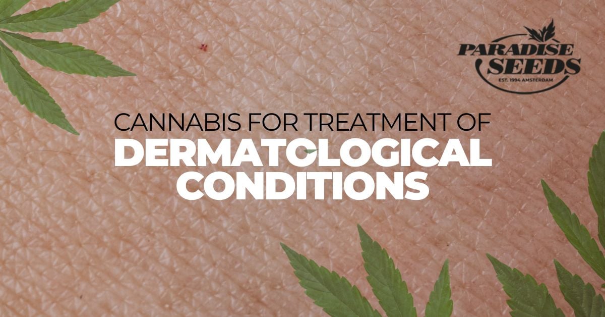 Cannabis treatments for dermatological conditions article artwork