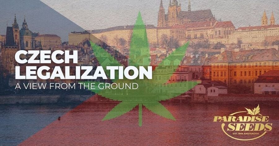 Czech cannabis legalization article cover artwork