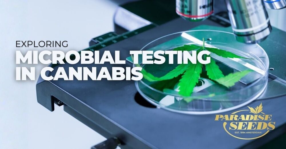 Microbial testing in cannabis article cover