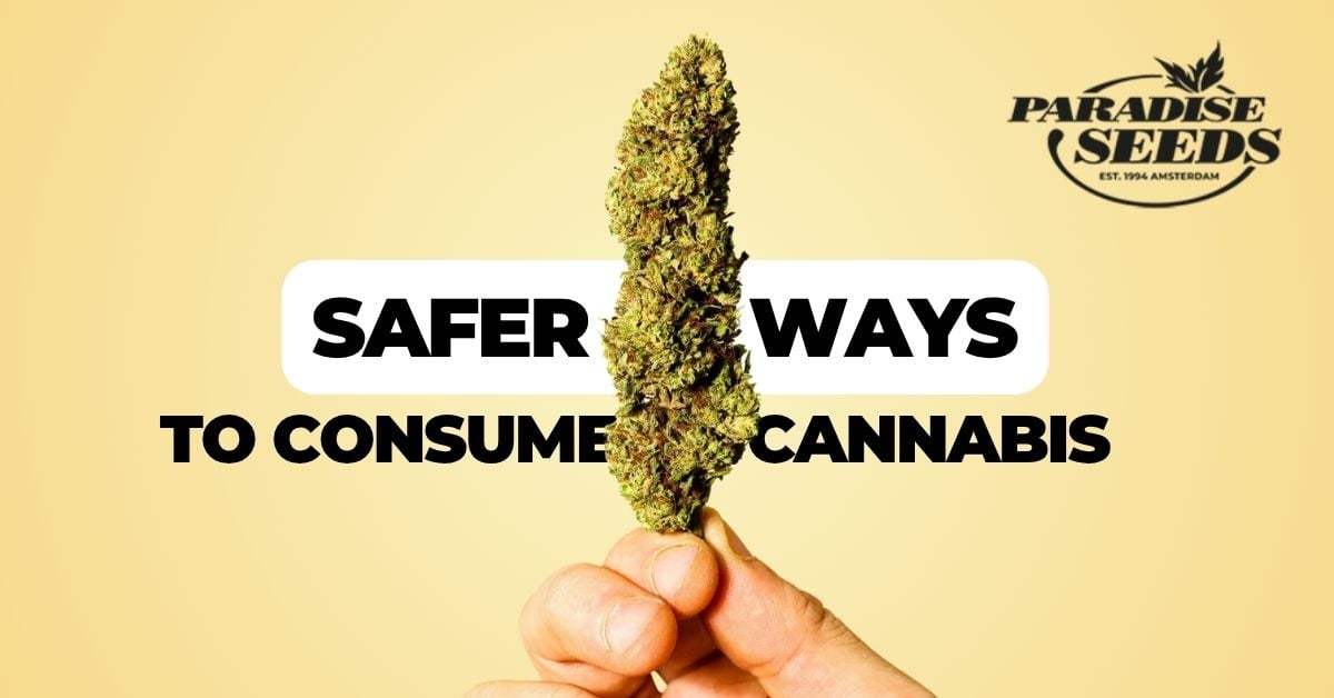 Safer ways to consume cannabis article artwork