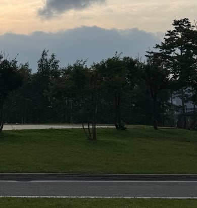 진환