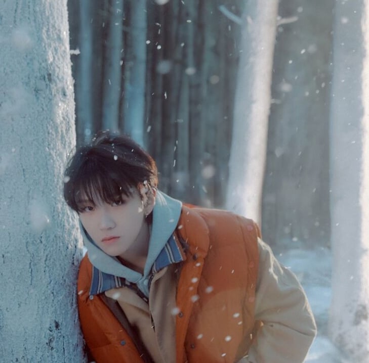 재현 