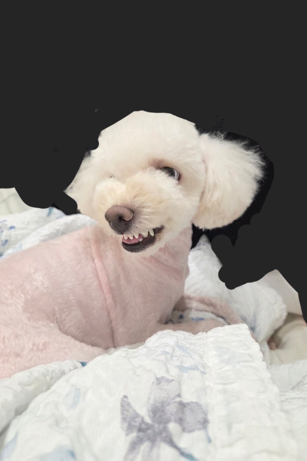 영정이