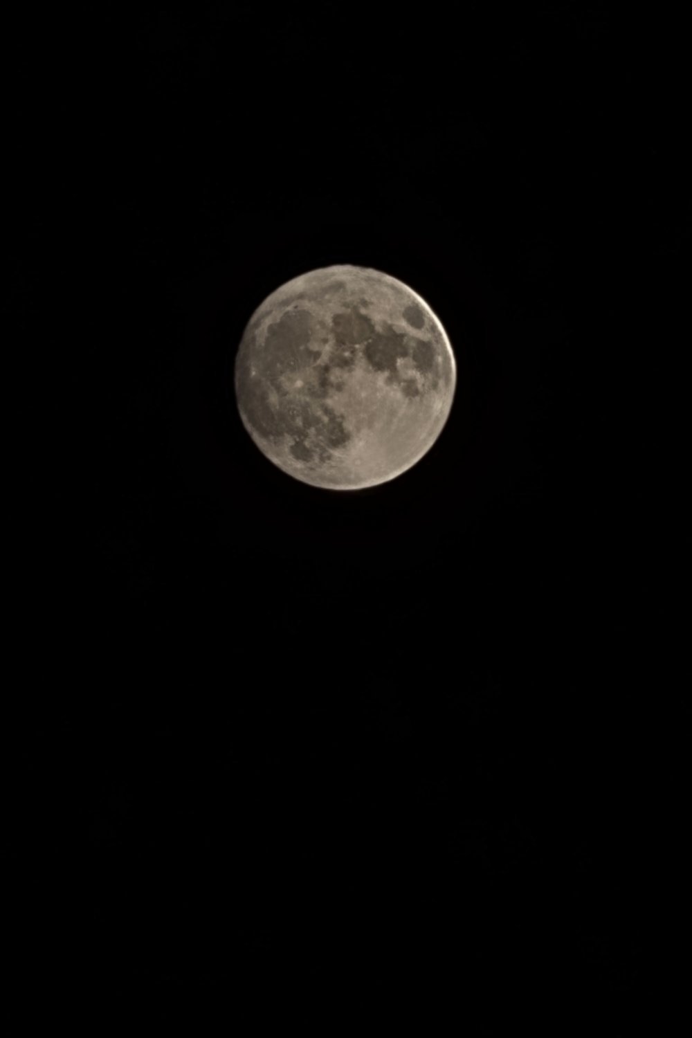 달님