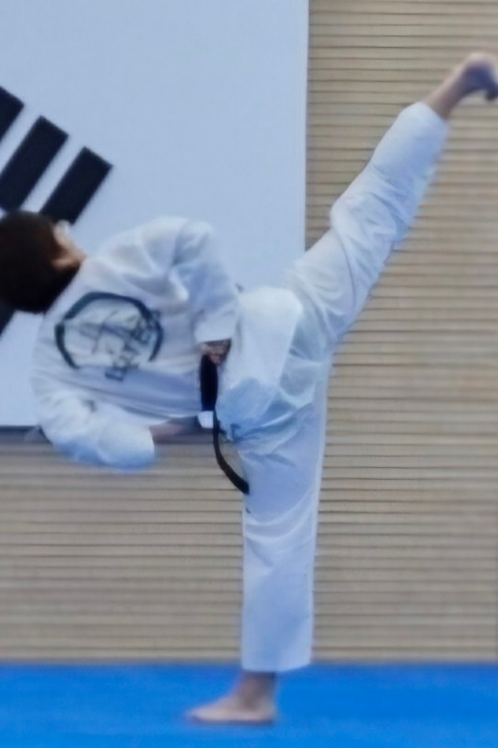 태권도