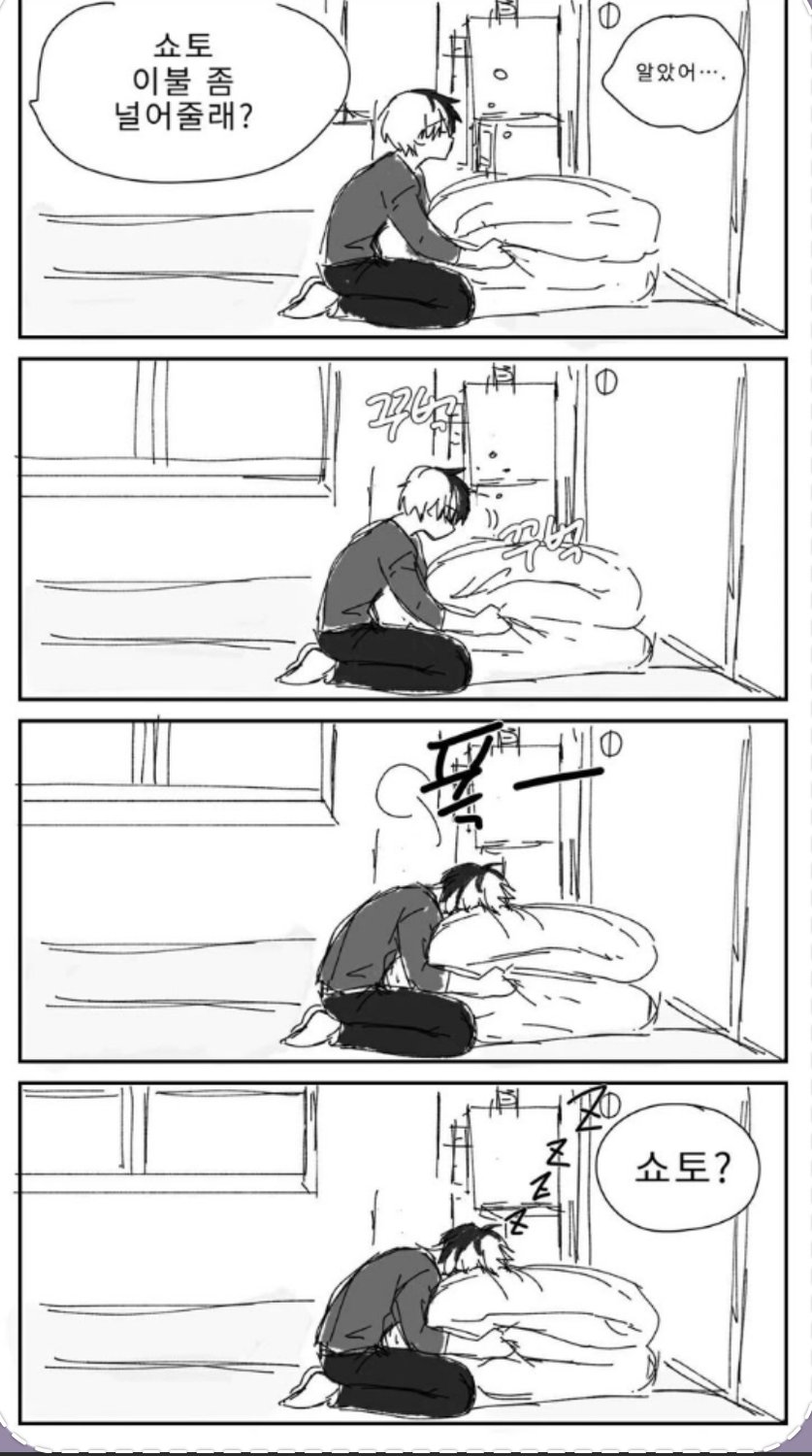토도로키 쇼토