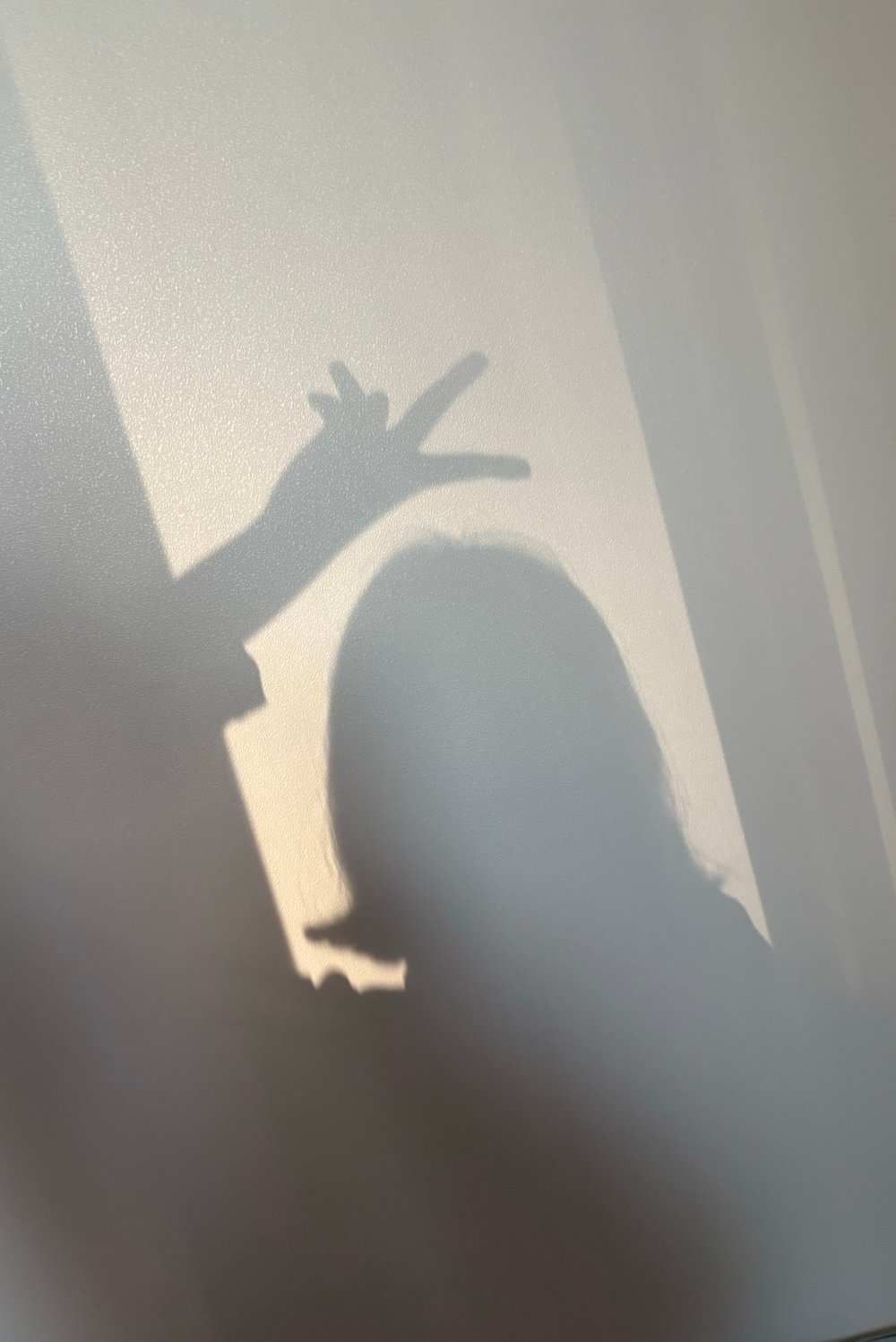 하수나