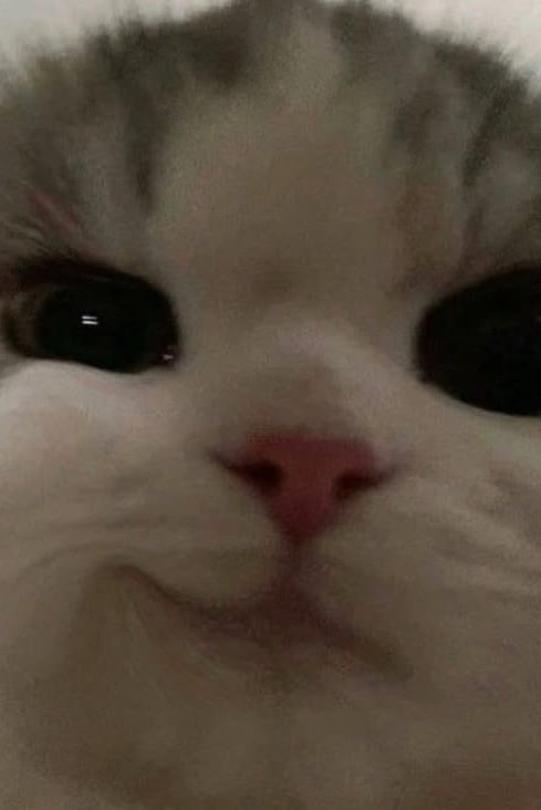 서연