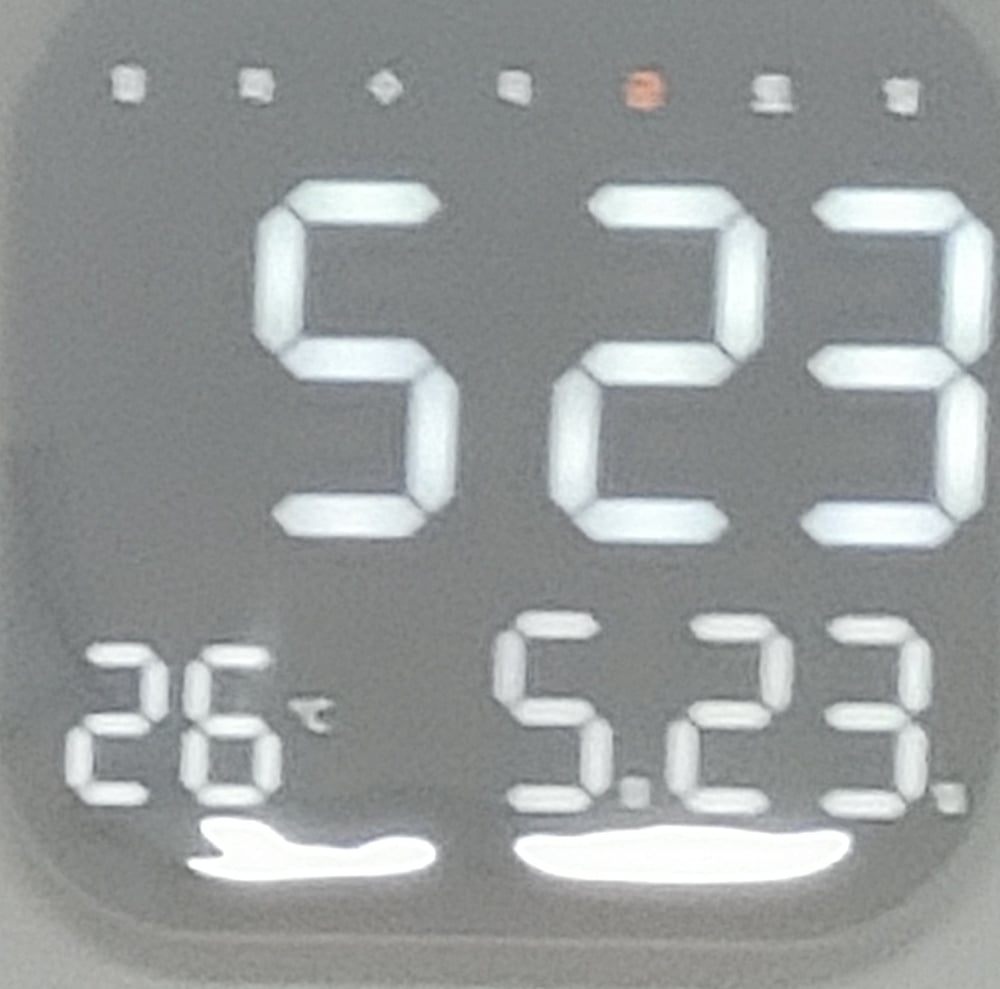 거북이
