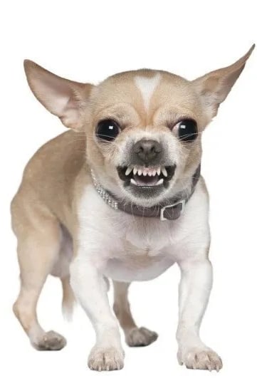 ㄴㄷㄱ