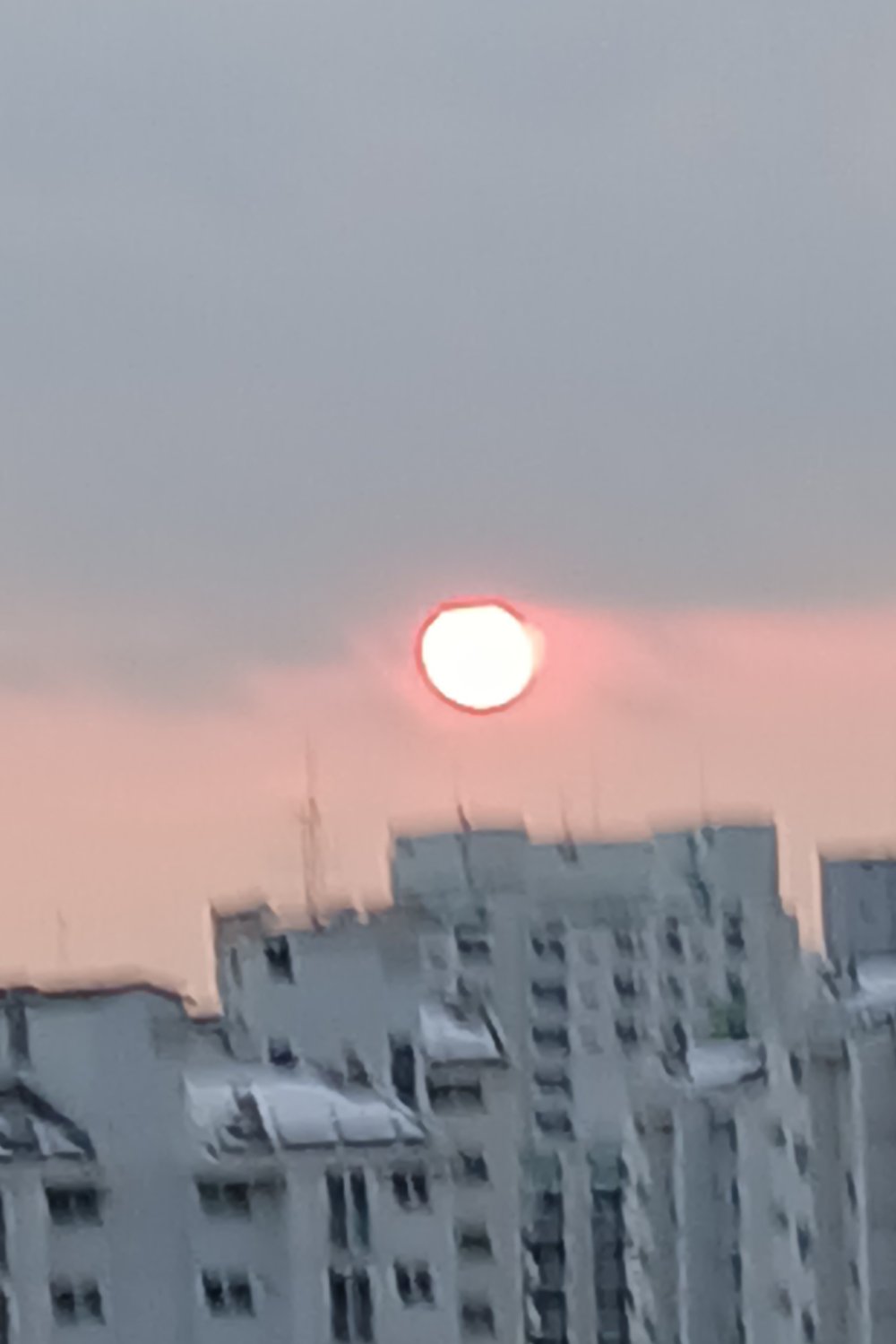 입하를
