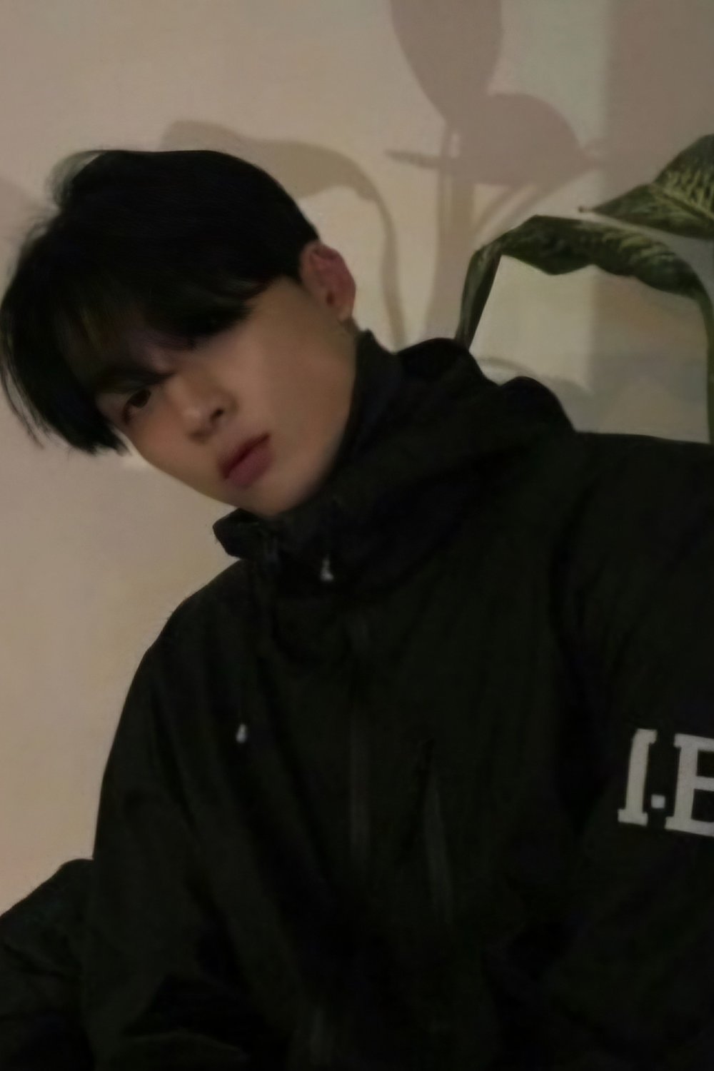 이도현