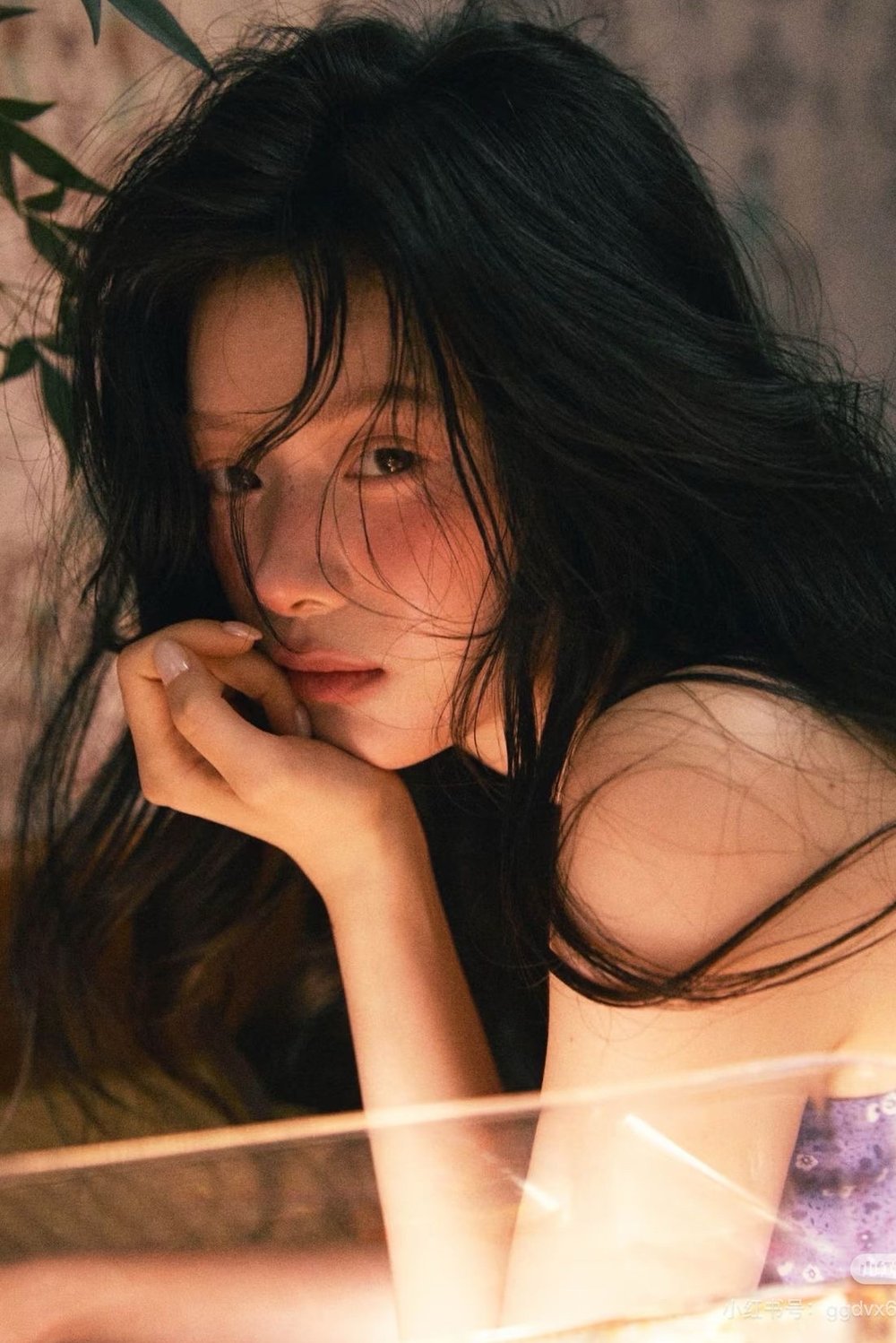 미모연