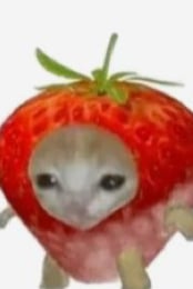 첫째