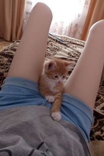 아린