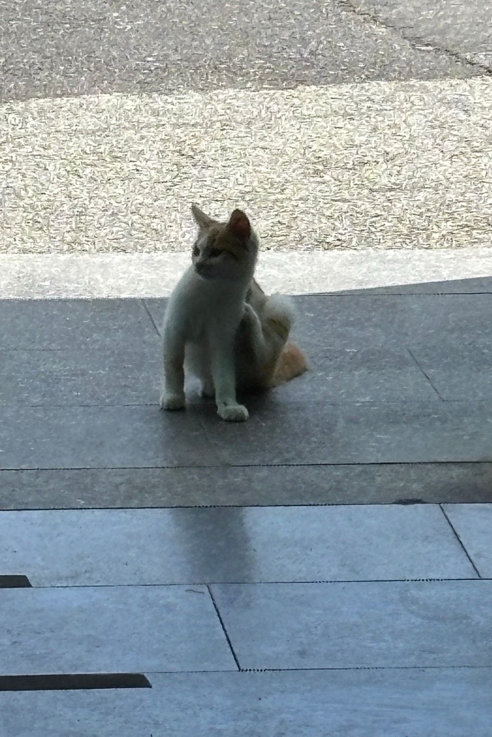 해수