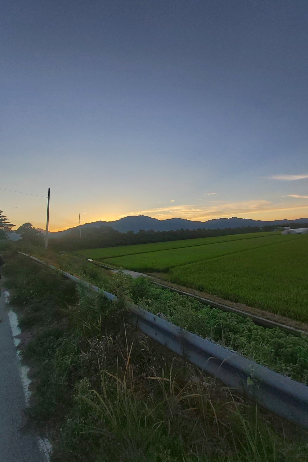 나경