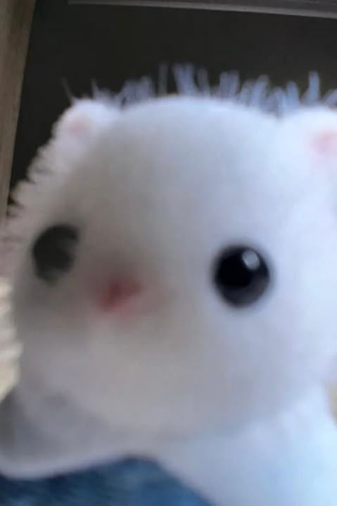 요미
