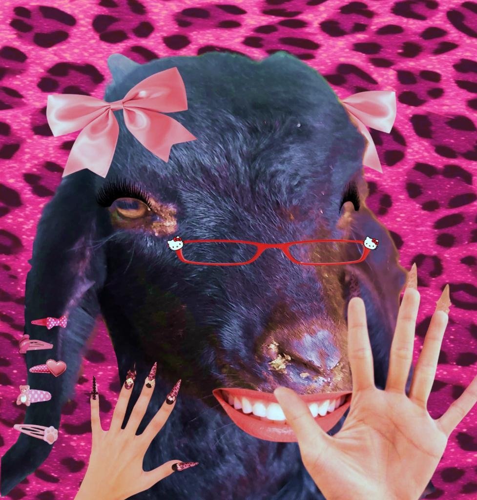 김복박