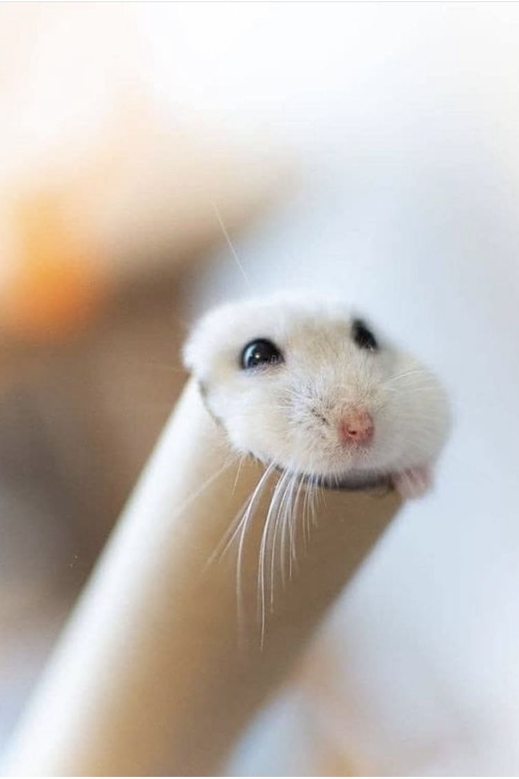 고민