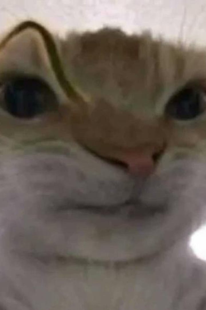 고얌이