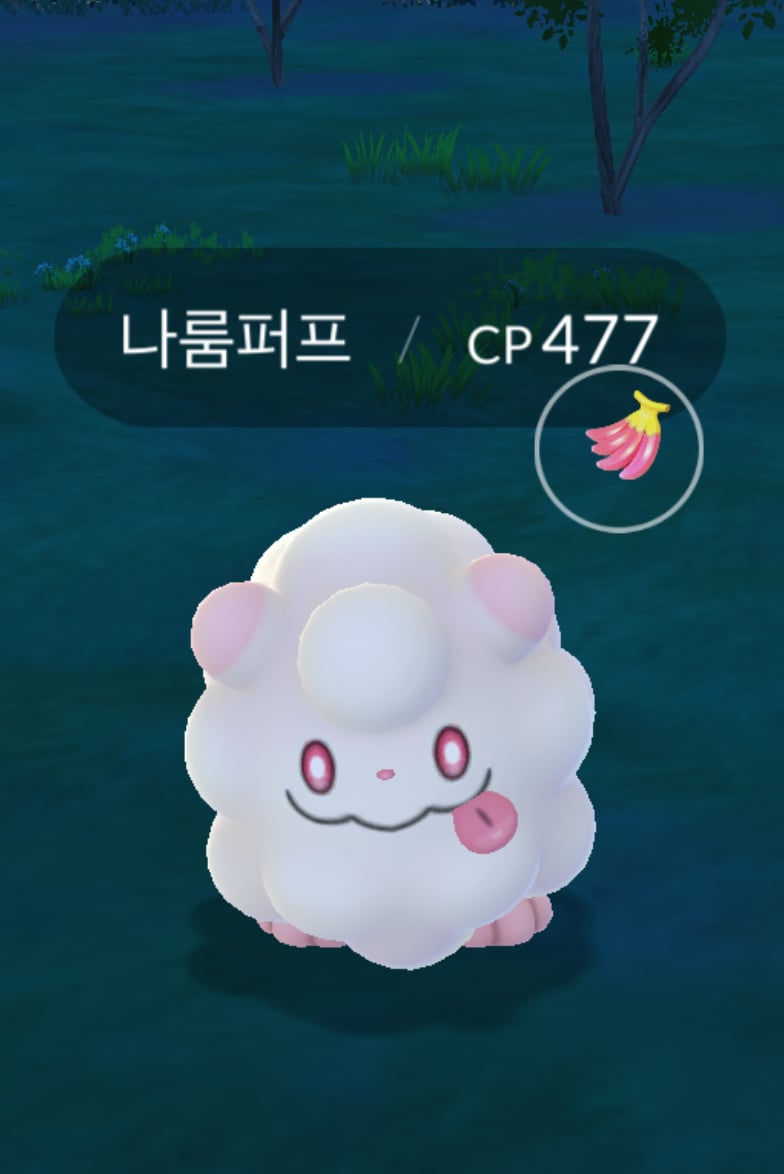 도하