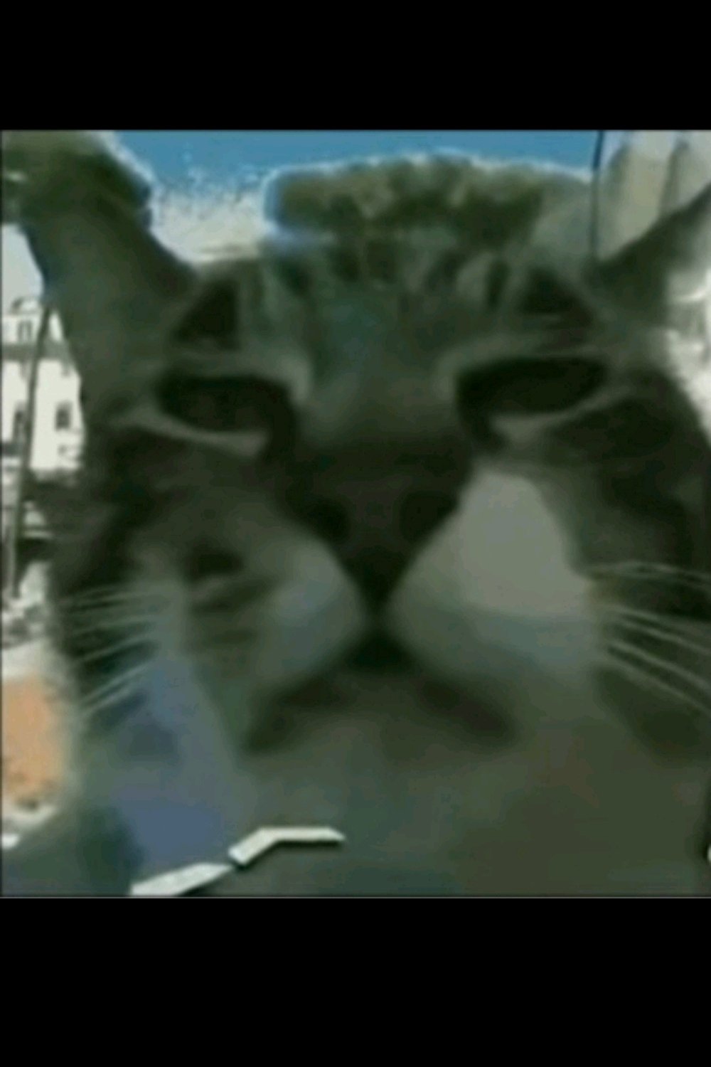뽀삥