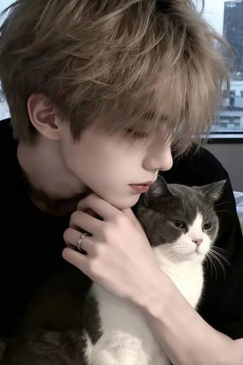 차도현