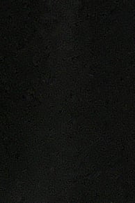 윤정한