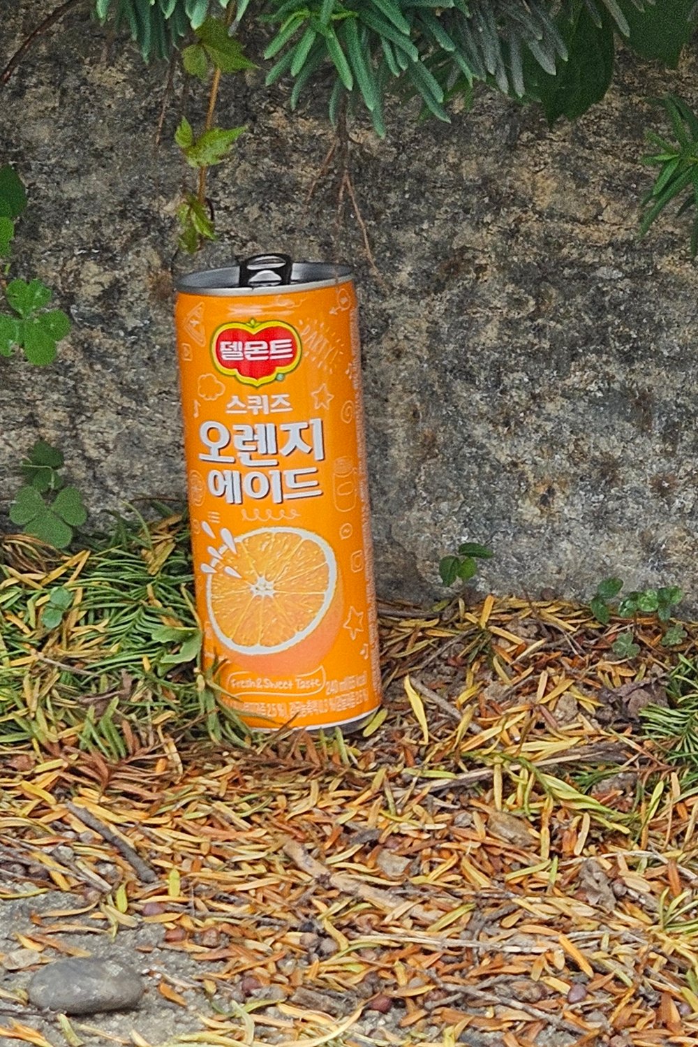 캔