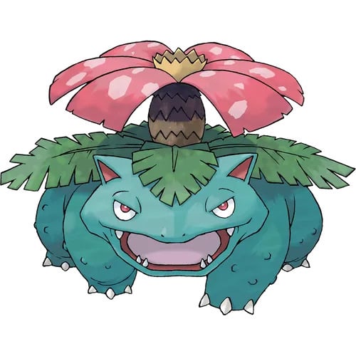 이상해꽃